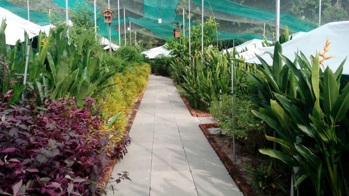 Villa T Garden Pantai Cenang  Exterior foto
