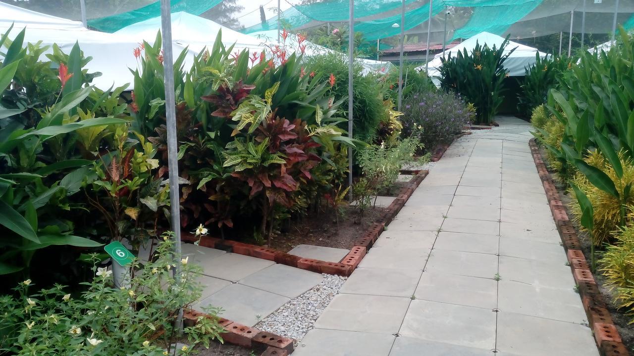 Villa T Garden Pantai Cenang  Exterior foto