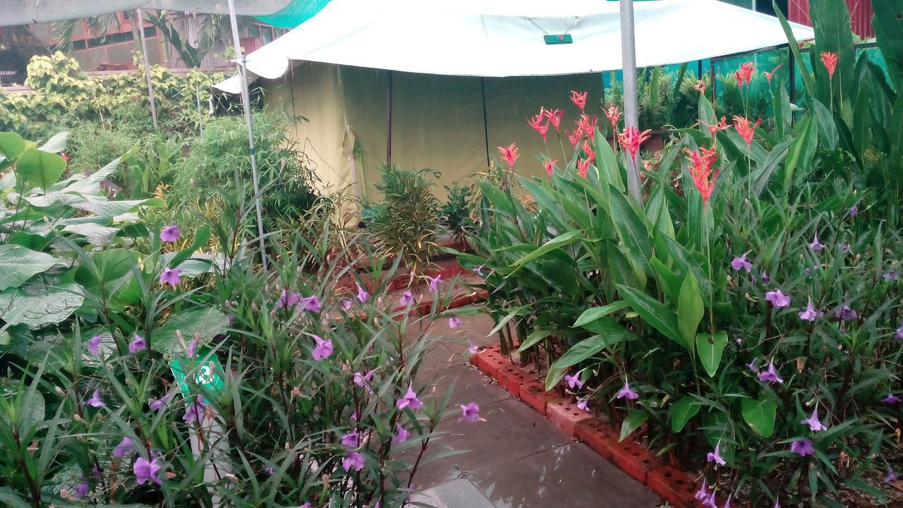 Villa T Garden Pantai Cenang  Exterior foto