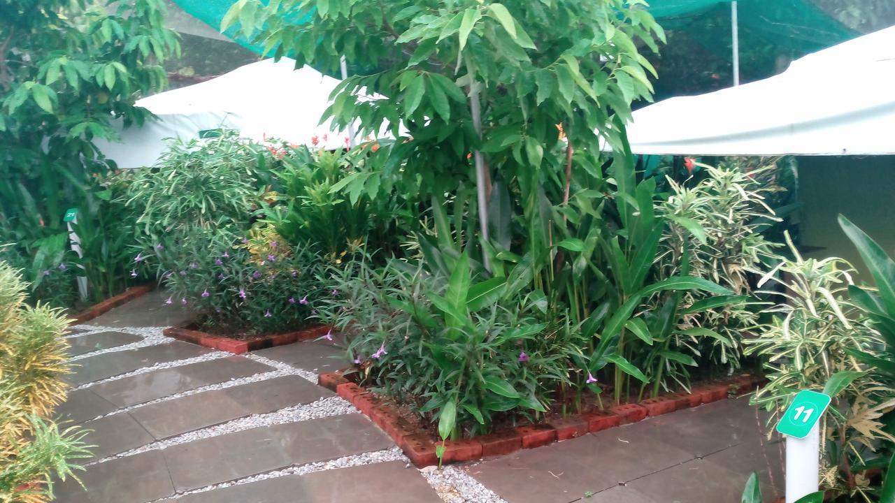 Villa T Garden Pantai Cenang  Exterior foto