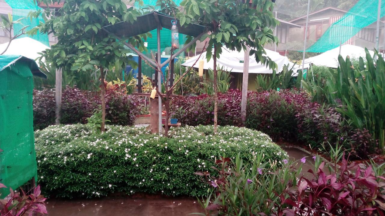 Villa T Garden Pantai Cenang  Exterior foto